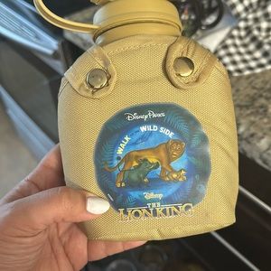 Disney water canteen